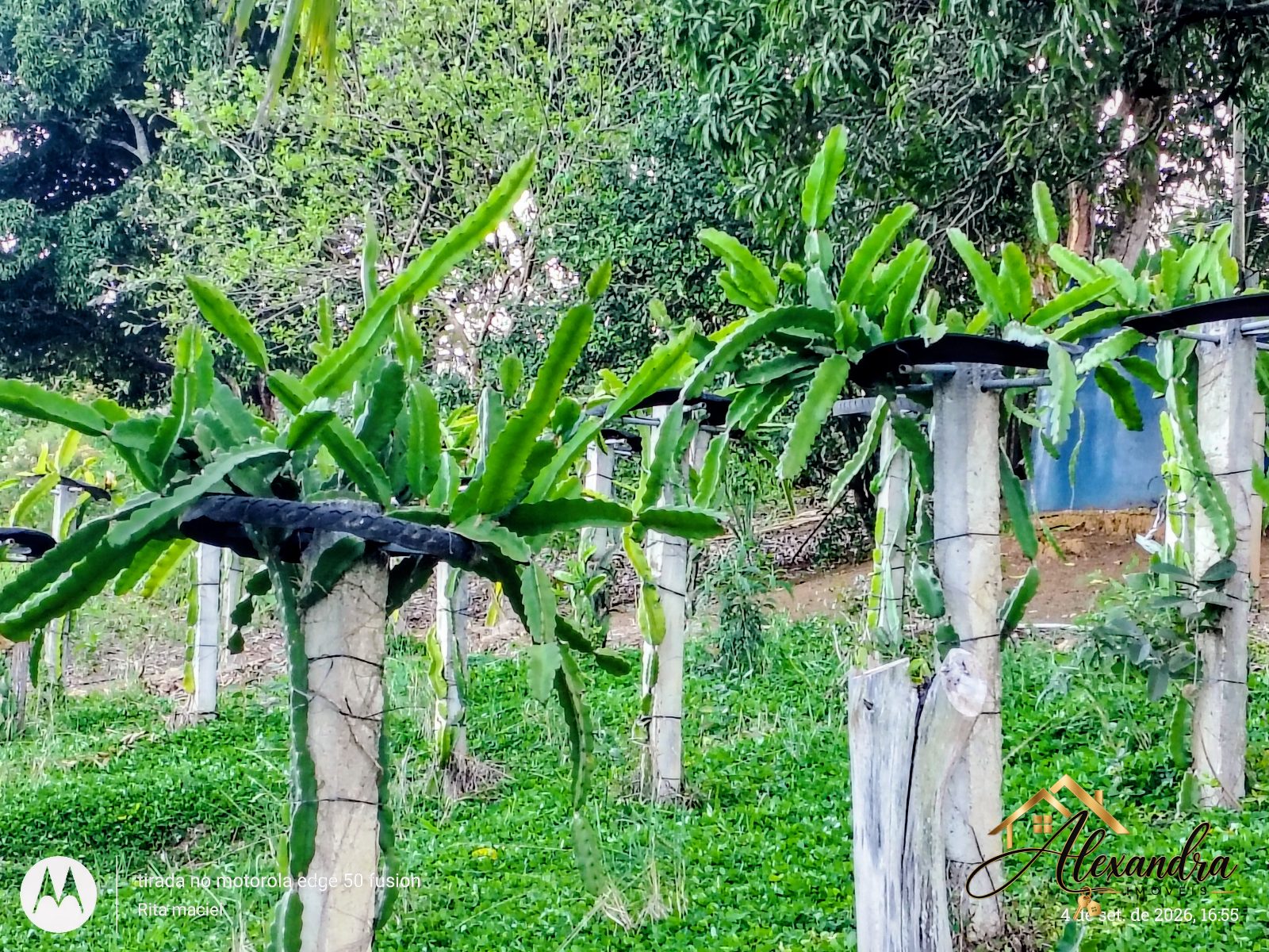 CHÁCARA A VENDA em GUARAPARI - SAMAMBAIA — foto 2
