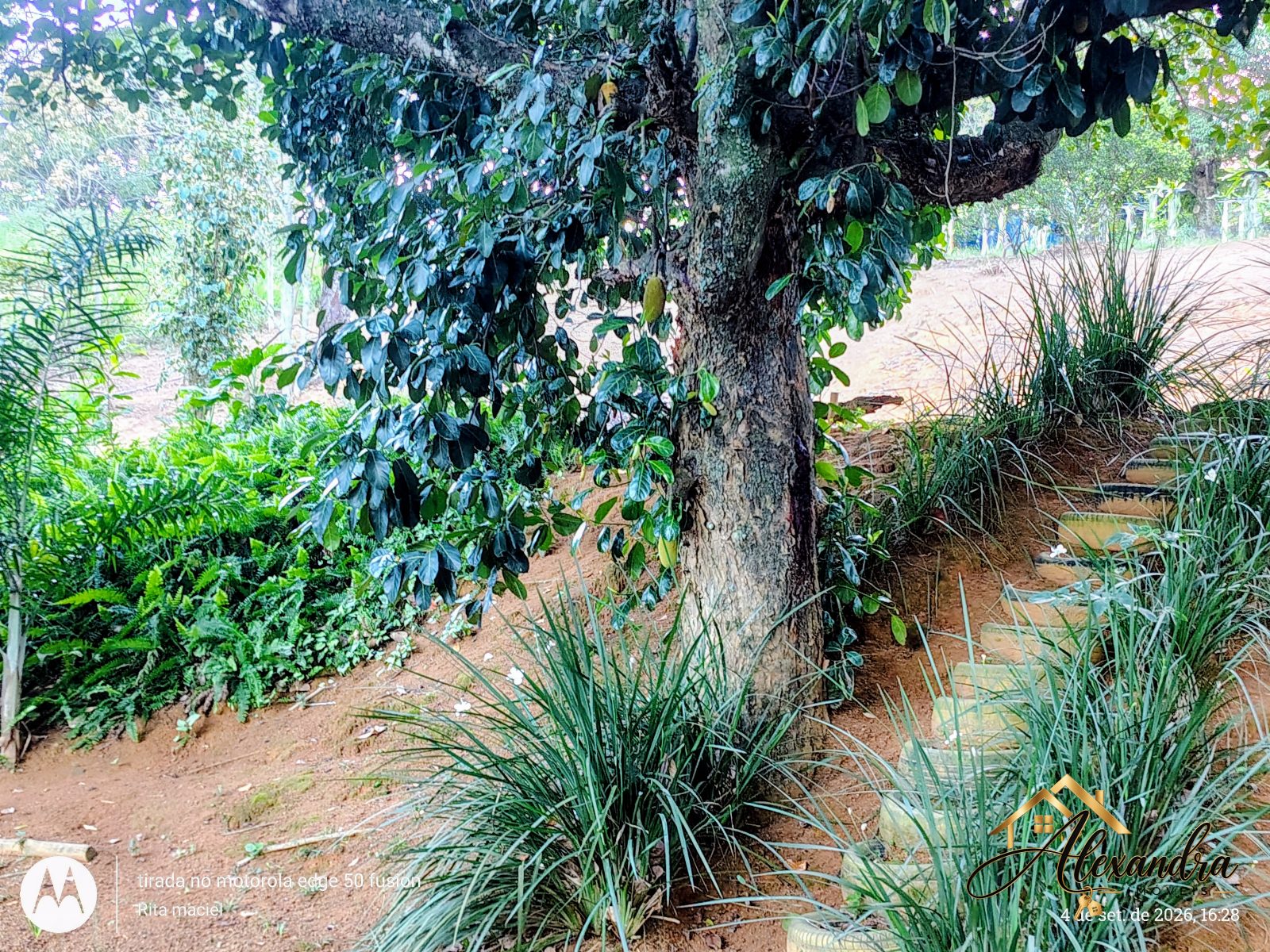 CHÁCARA A VENDA em GUARAPARI - SAMAMBAIA — foto 37