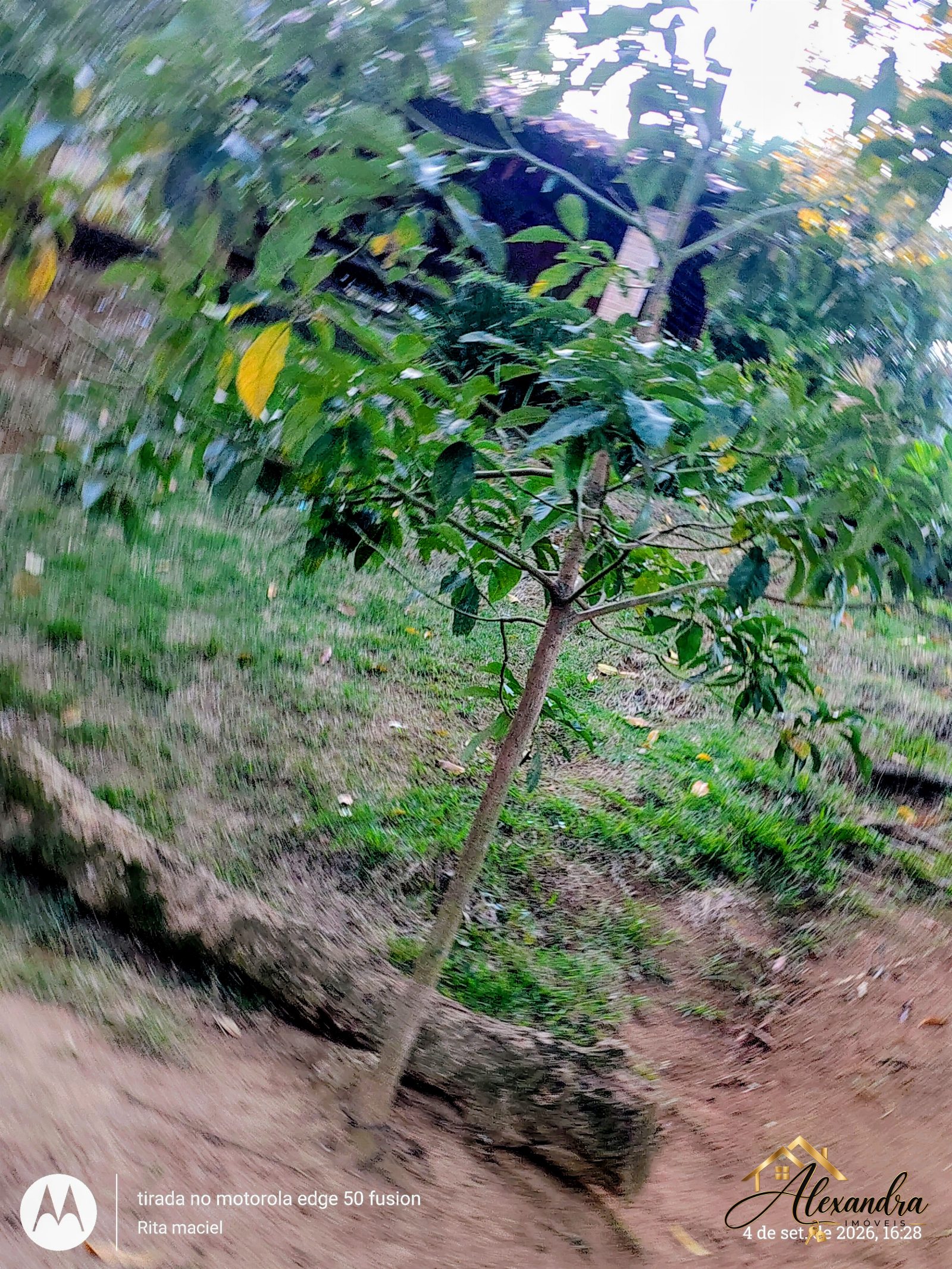 CHÁCARA A VENDA em GUARAPARI - SAMAMBAIA — foto 42