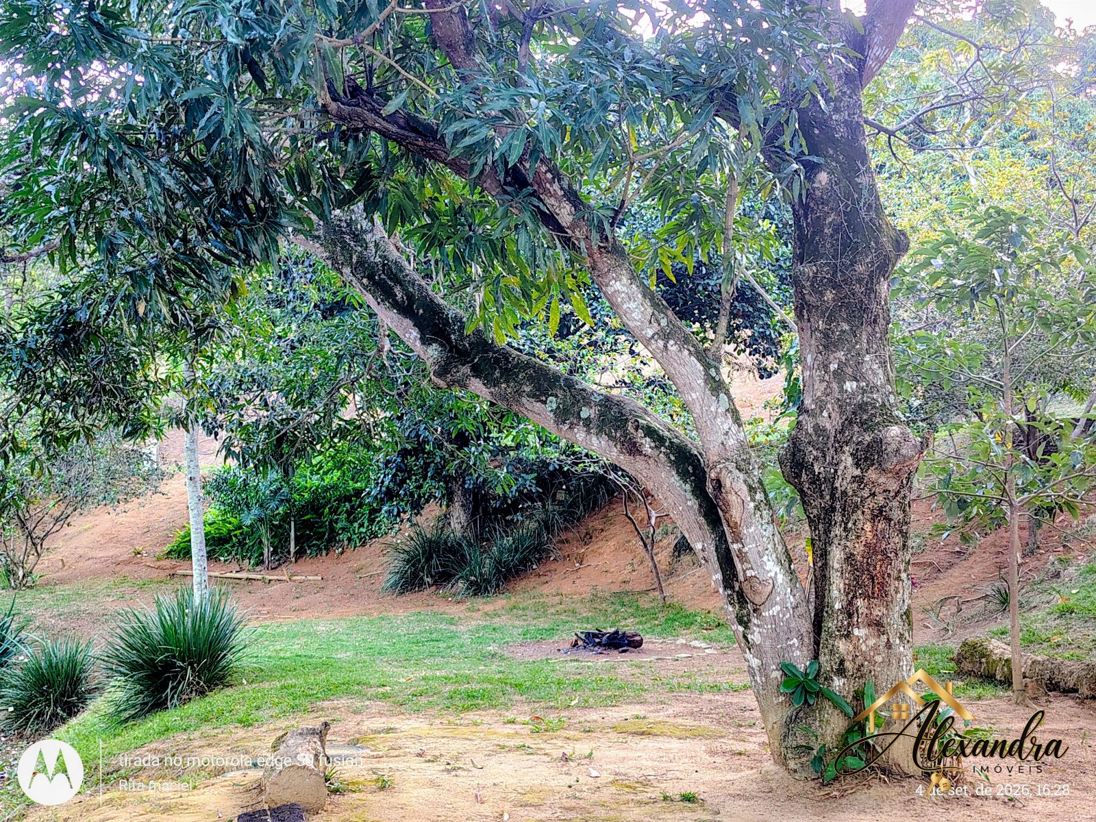 CHÁCARA A VENDA em GUARAPARI - SAMAMBAIA — foto 45