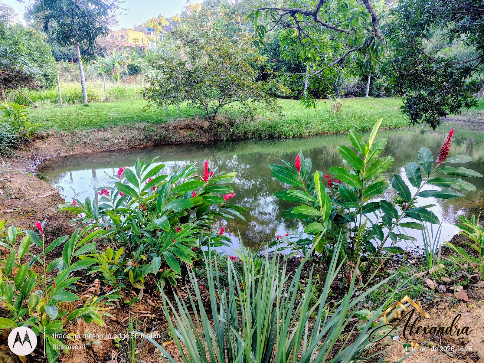 CHÁCARA A VENDA em GUARAPARI - SAMAMBAIA — foto 47