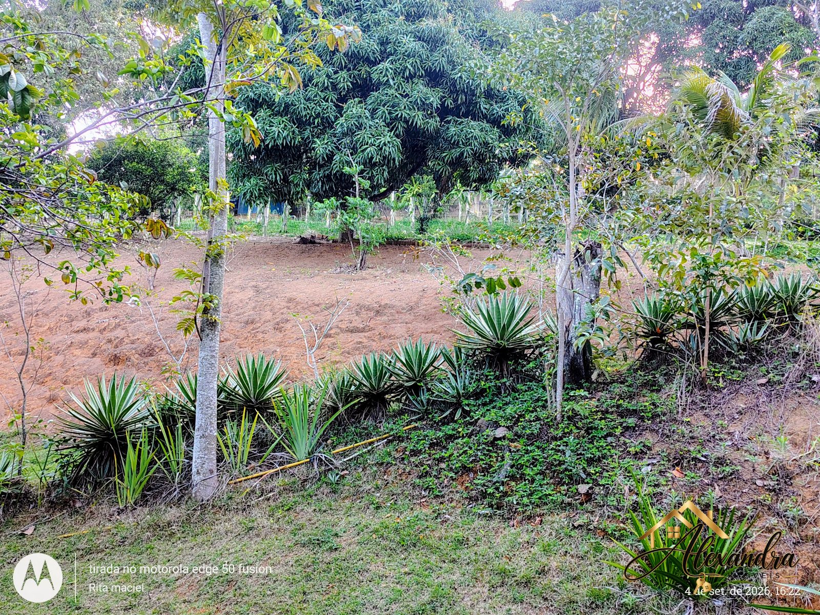 CHÁCARA A VENDA em GUARAPARI - SAMAMBAIA — foto 53