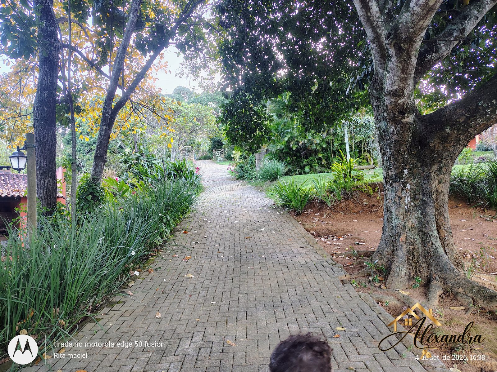 CHÁCARA A VENDA em GUARAPARI - SAMAMBAIA — foto 21