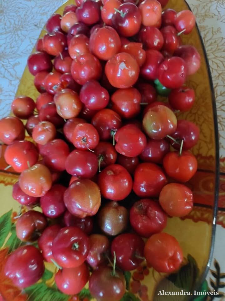 🌿 Excelente Chácara à venda em Guarapari - ES — foto 28