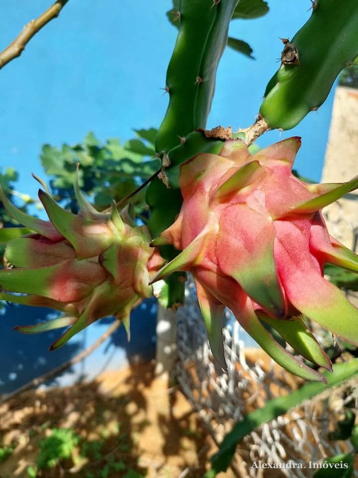 🌿 Excelente Chácara à venda em Guarapari - ES — foto 29