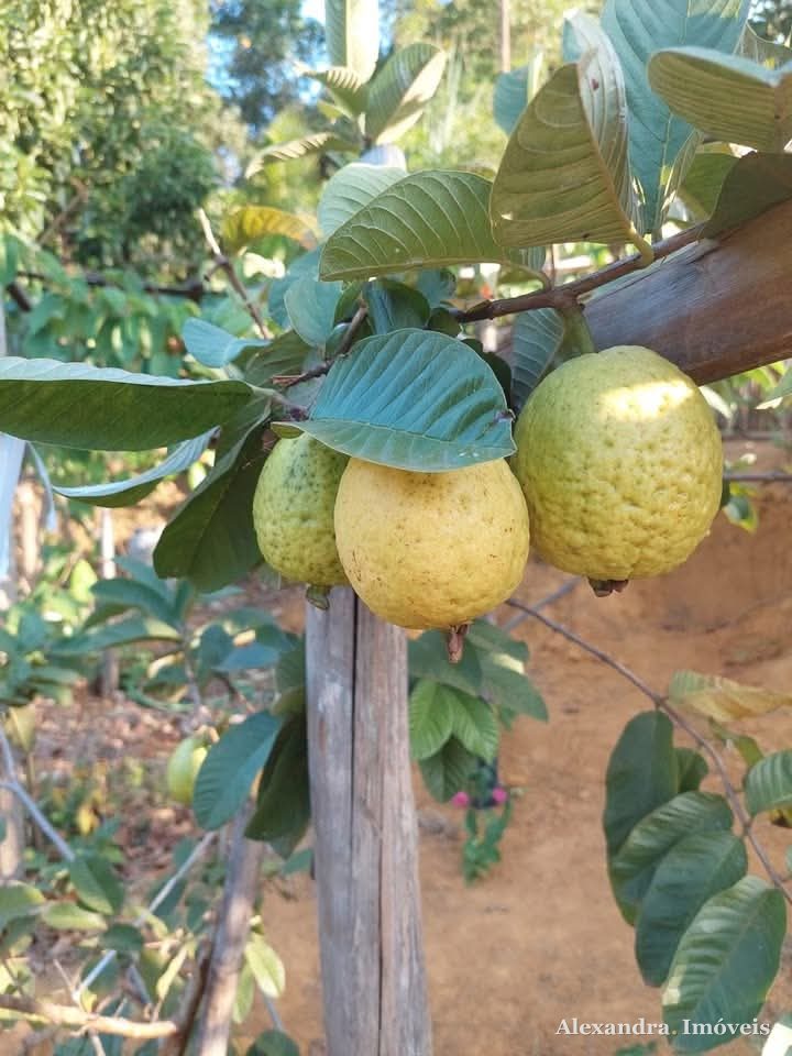 🌿 Excelente Chácara à venda em Guarapari - ES — foto 30