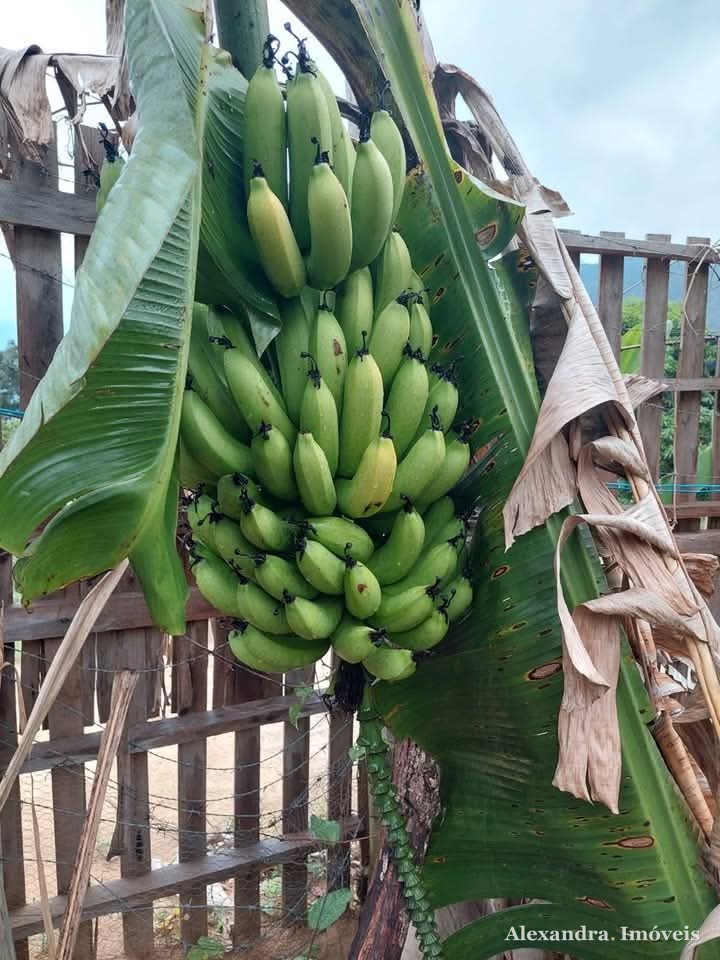 🌿 Excelente Chácara à venda em Guarapari - ES — foto 31