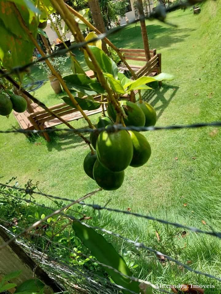 🌿 Excelente Chácara à venda em Guarapari - ES — foto 10