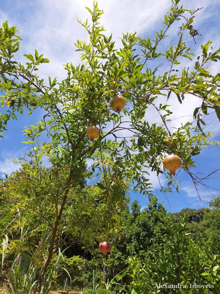 🌿 Excelente Chácara à venda em Guarapari - ES — foto 4