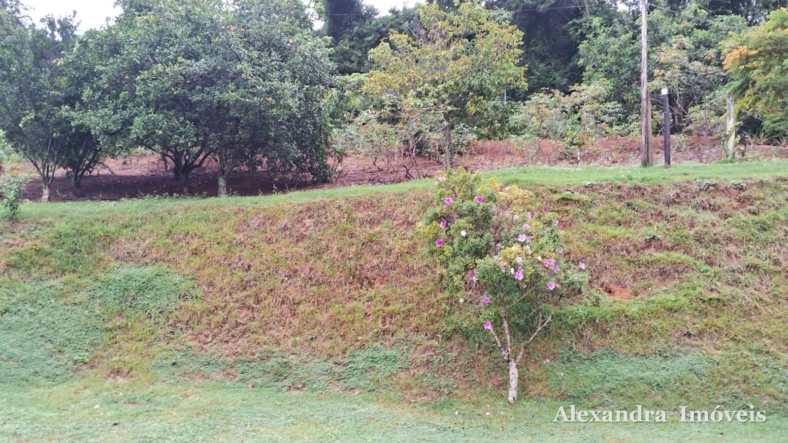 🌿 CHÁCARA À VENDA – GUARAPARI/ES — foto 3