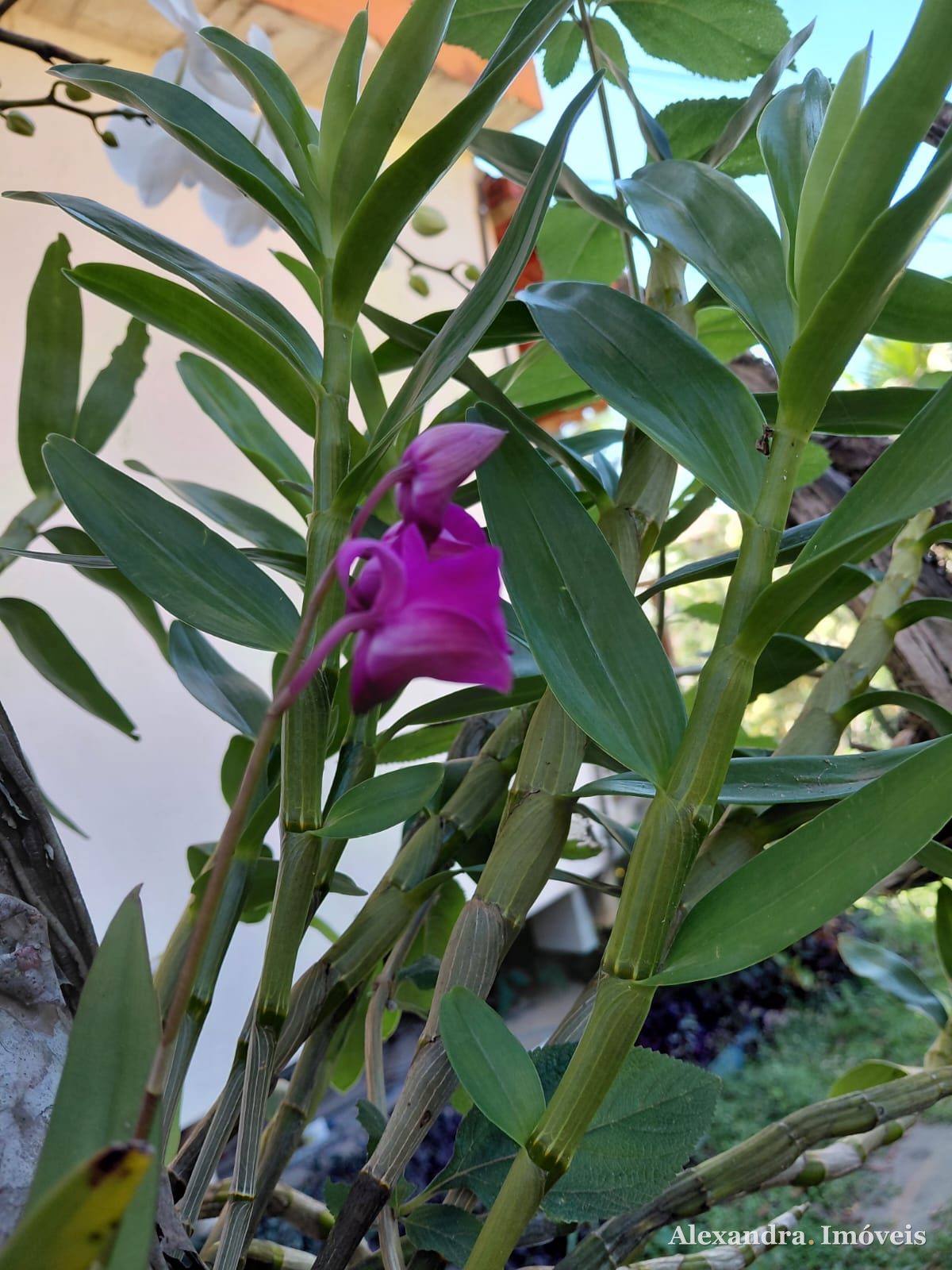 LOTE À VENDA EM GUARAPARI - ES