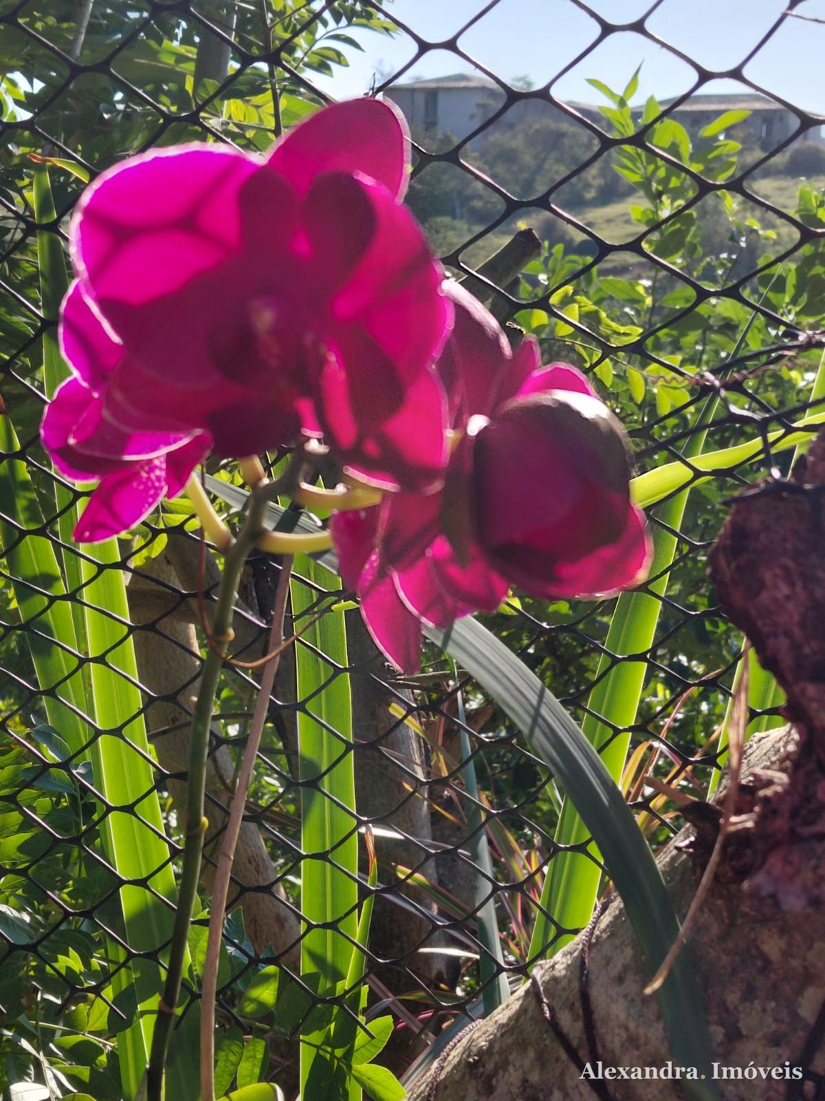 🏡🏡Vendo casa 2 andares — foto 1